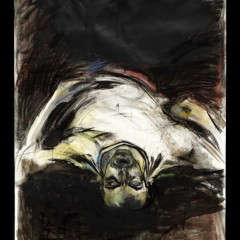 The Mud Flat Drawings; Engulfed, 60 x 36 inches, Mixed Drawing Media, 2005