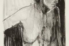 Torso, 40 x 30 inches, Lithograph, 2018