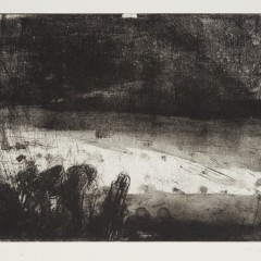 Diaspora IV, 18 x 24 inches, Intaglio, 2019