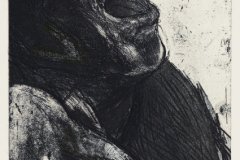 Plate VIII/ The Shepard Cycle, 9.75 x 7.75 inches, Intaglio, 2008