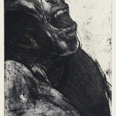 Plate VIII/ The Shepard Cycle, 9.75 x 7.75 inches, Intaglio, 2008