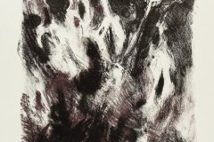 5.7/Macbeth, 15 x 11.5 inches, Lithograph, 2009